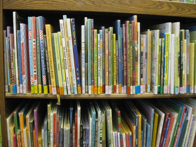 Johnstown picture book reorganization